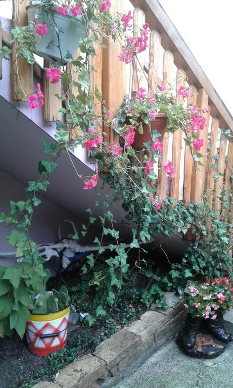 סראייבו Apartment Centar מראה חיצוני תמונה